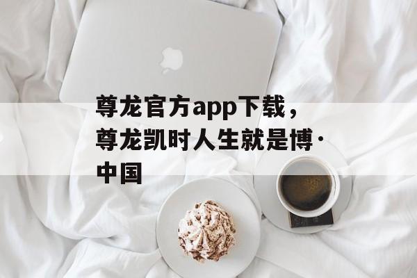 尊龙官方app下载，尊龙凯时人生就是博·中国